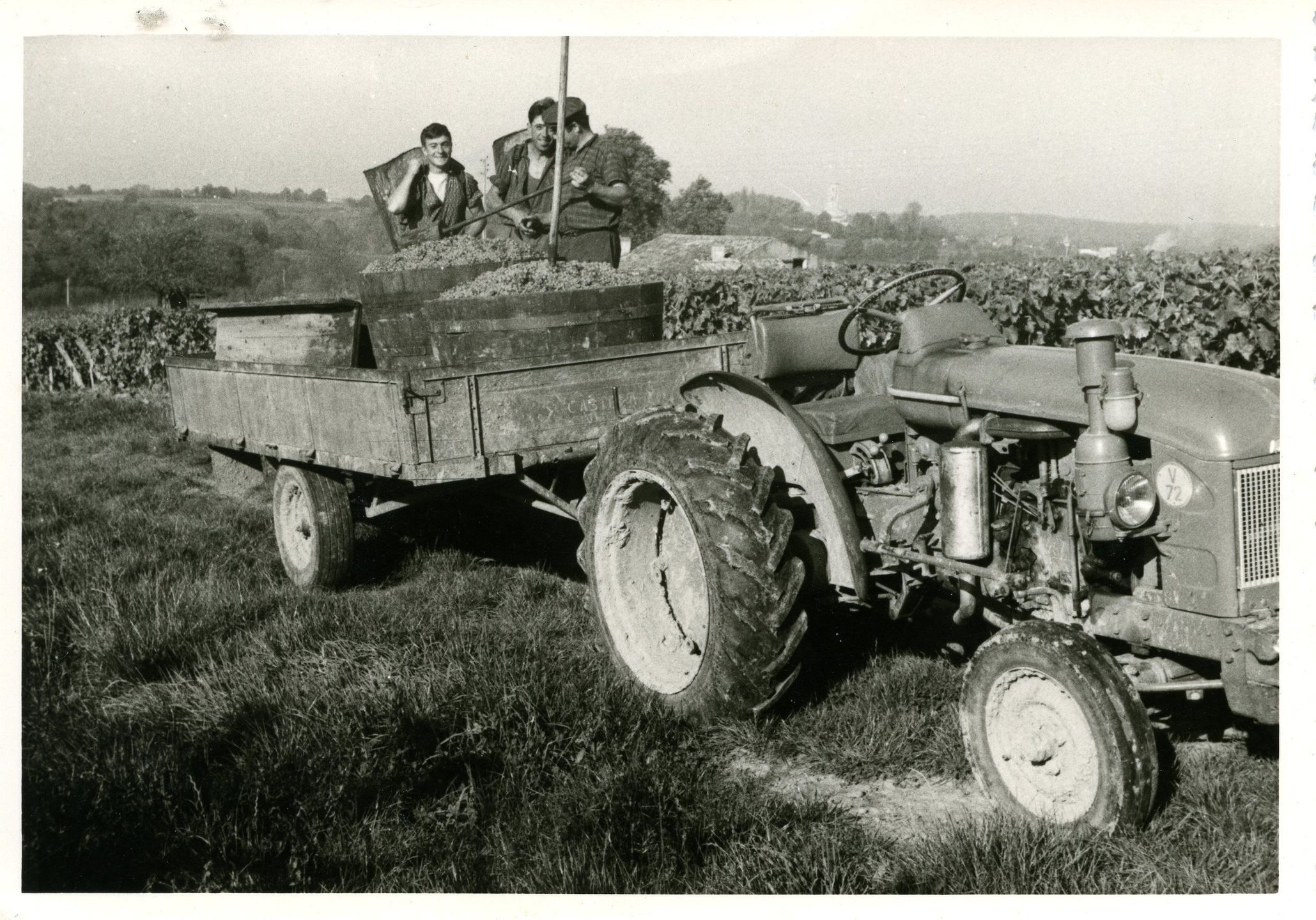 L’histoire du vignoble - Vignobles Latorse