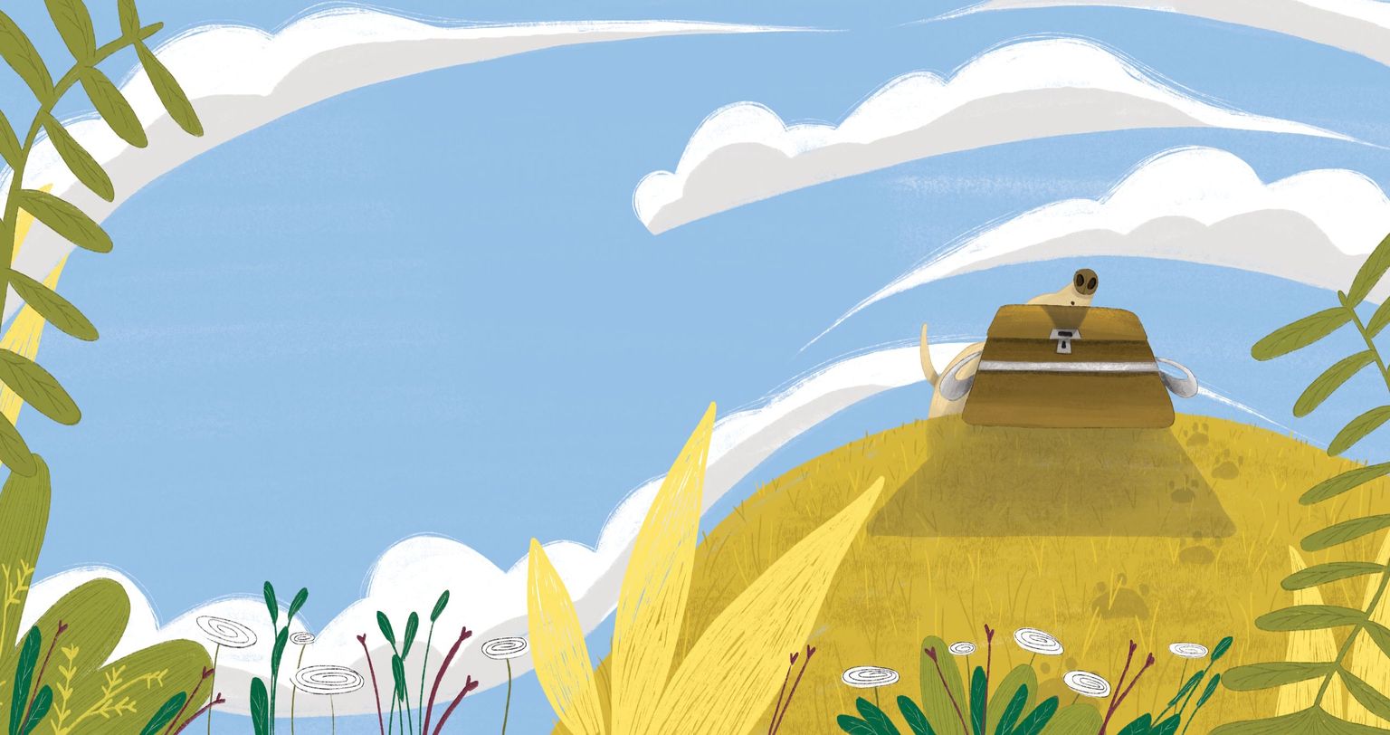 Jacinto, o porco preguiçoso book image #7