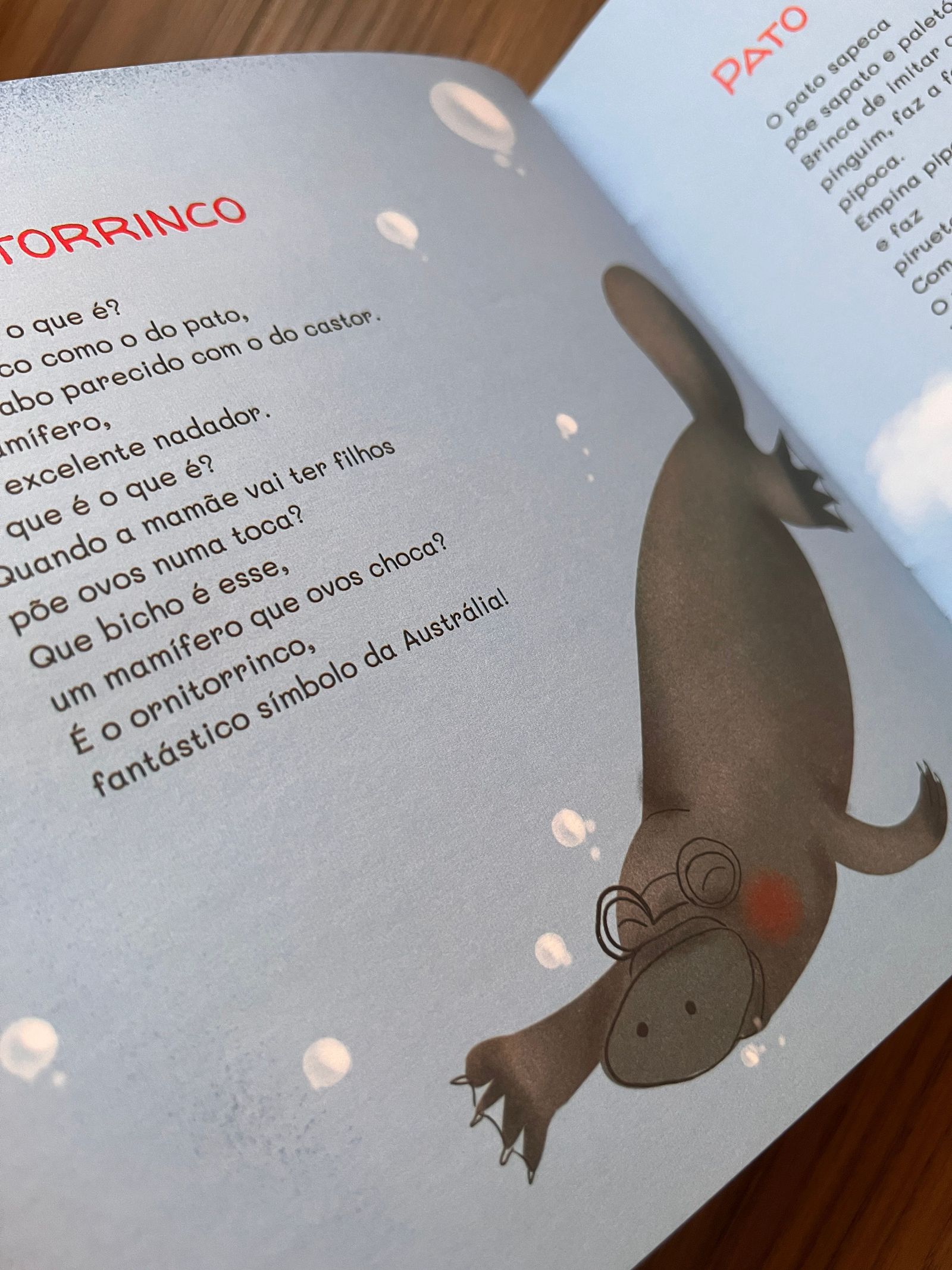 Imagem #4 do livro Bichonário Poético.