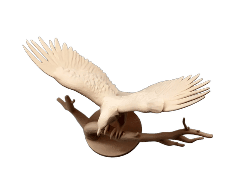 Eagle with Wings Spread — Main view