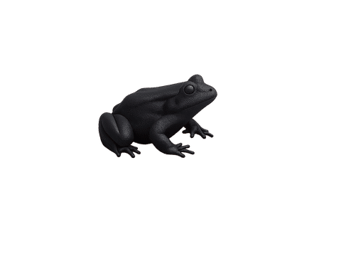 Frog – Mini Animal — Main view