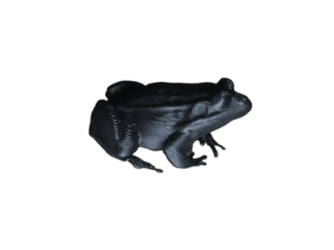 Frog – Mini Animal — Side profile