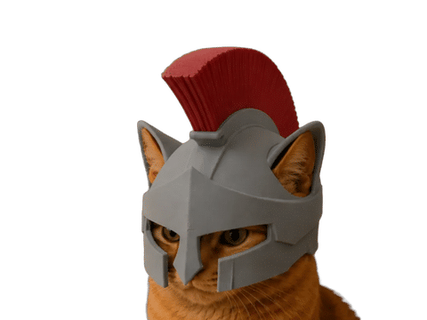 Spartan cat helmet! — Surface detail