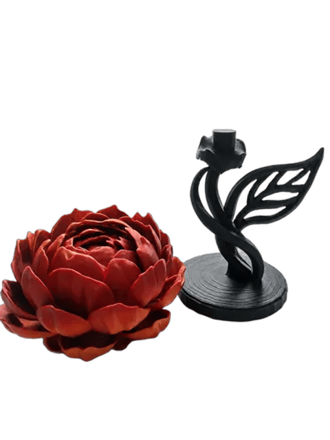 The Timeless Peony — Side profile