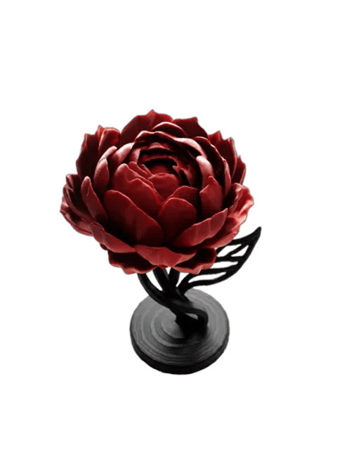 The Timeless Peony — From above