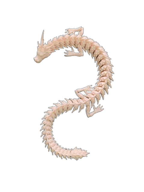 A little white dragon — Side profile