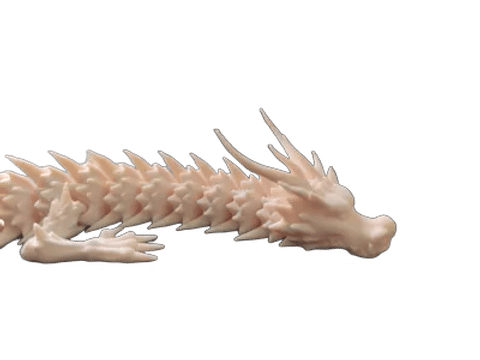 A little white dragon — From above