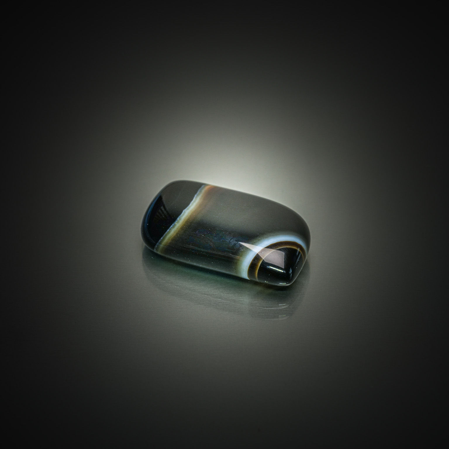 Corail rond ovale sur papier. - Lazuli