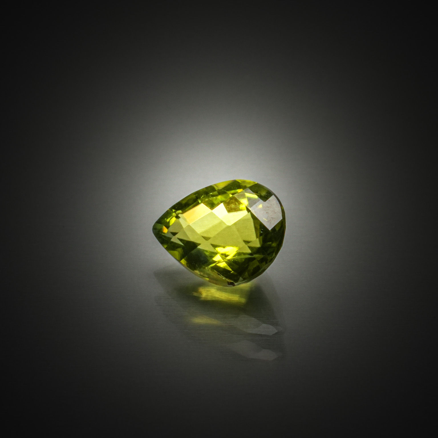 Corail rond ovale sur papier. - Lazuli