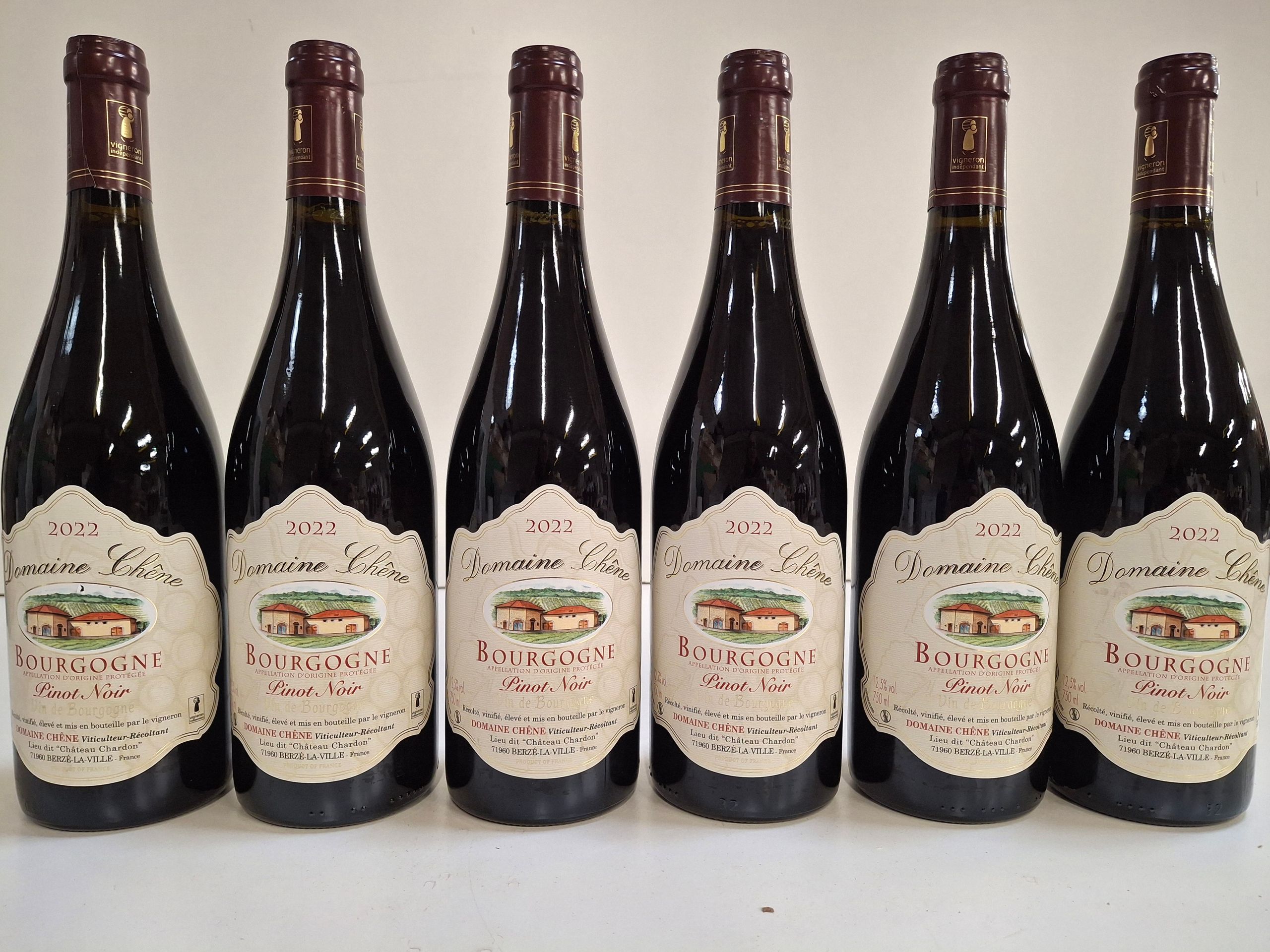 6 bouteilles Bourgogne Pinot noir 2022 Domaine Chêne, Récolté, vinifié, élevé propriétaire récoltant - Lazuli