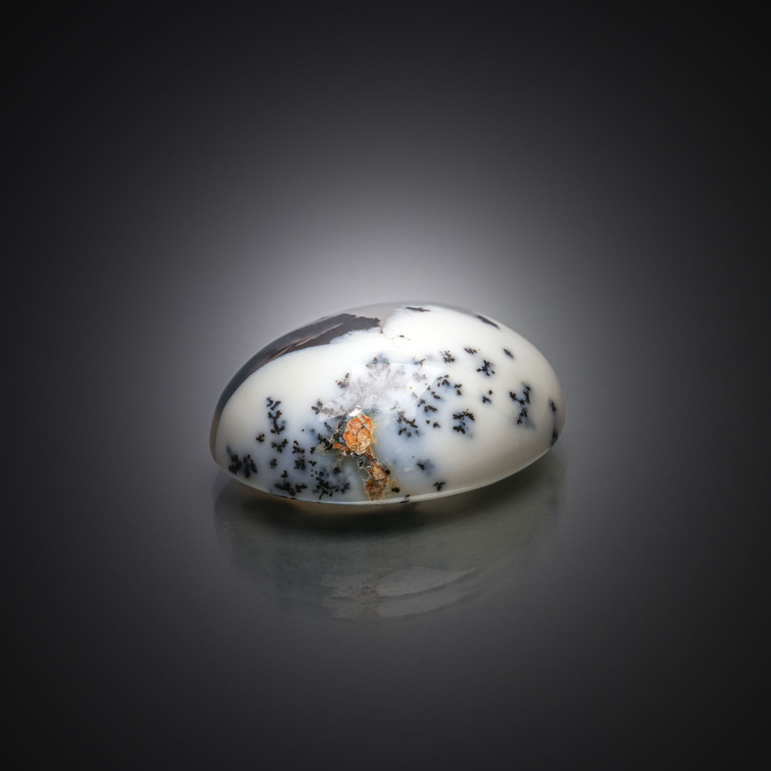 Opale dendrite ovale cabochon sur papier. - Lazuli