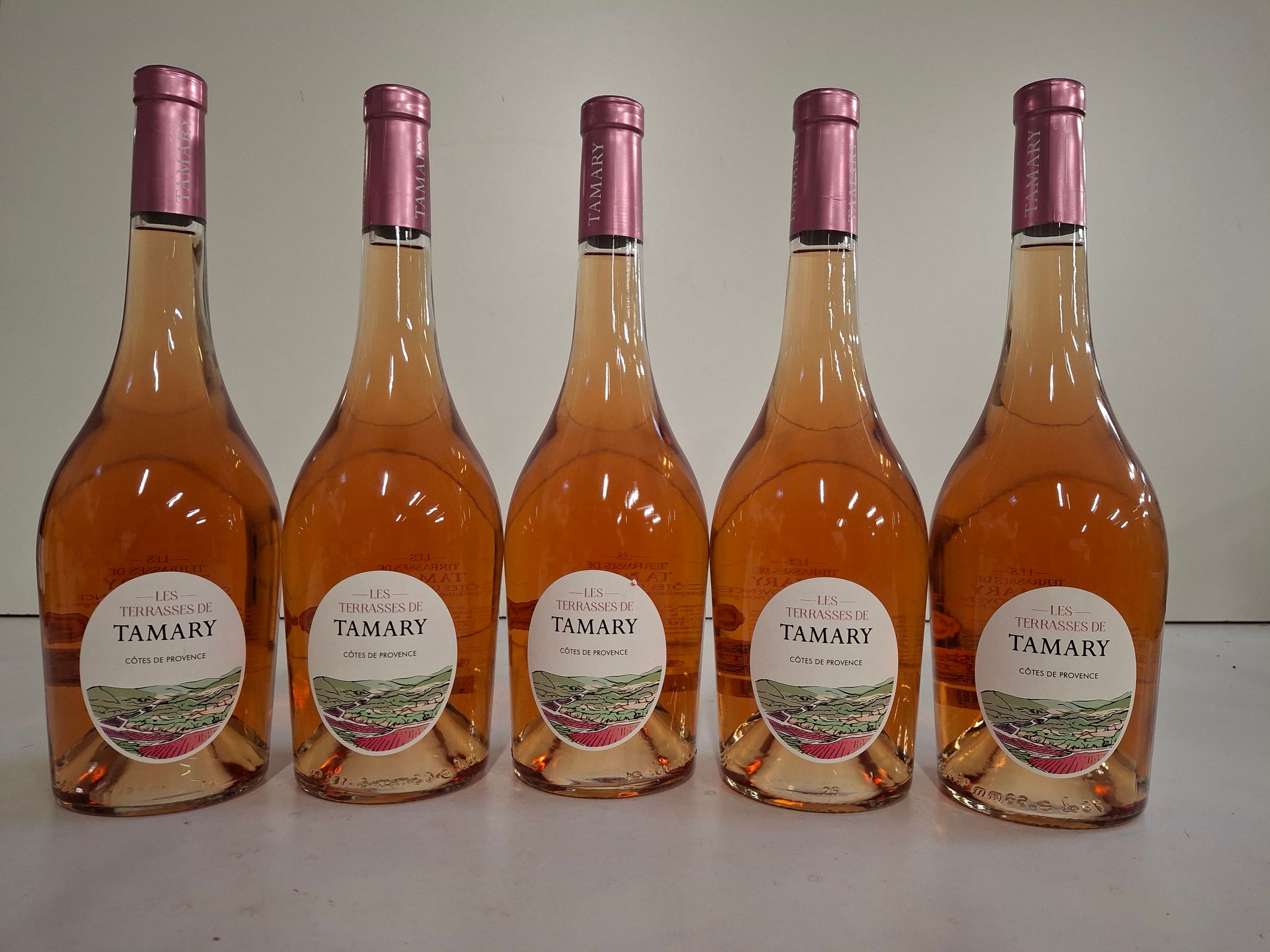 Lot de 6 Bouteilles Château Martignas Graves 2023 Récoltant   état parfait - Lazuli