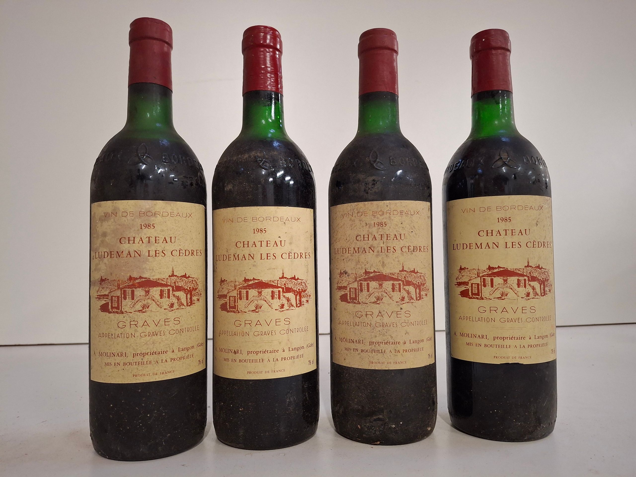 Lot de 2 bouteilles : Magnums 150cl Fine Armagnac Delord 40 % vol étiquettes tachées, histoire de famille depuis 1893 - Lazuli