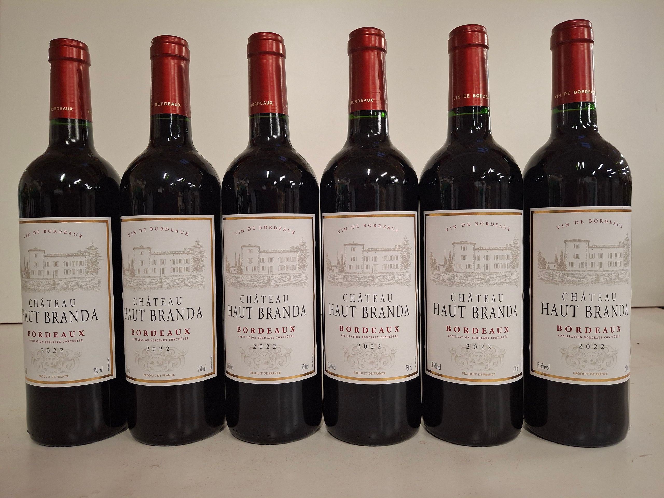 5 Magnums 150cl Château Haut Rozier 2018, Côtes de Francs mis en bouteille au château - Lazuli