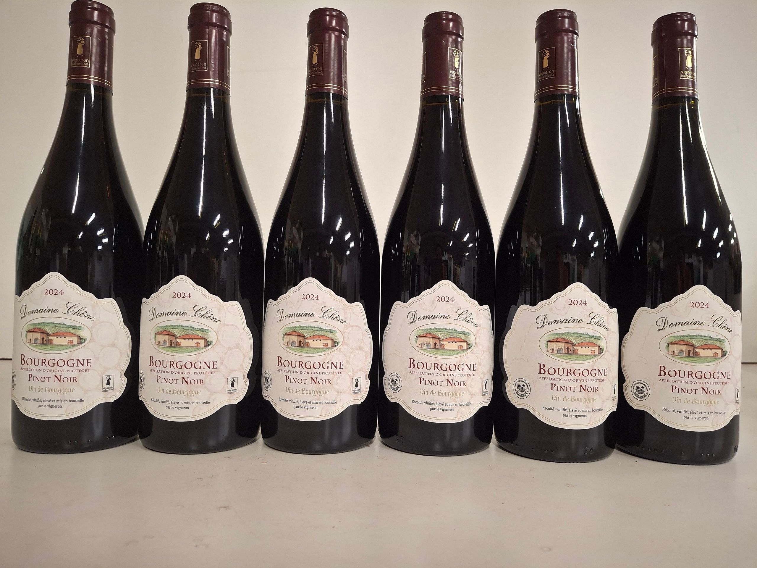 Bouteille Château Gloria Saint Julien 1992 propriétaire récoltant HENRI Martin niveau parfait, étiquette abîmée - Lazuli