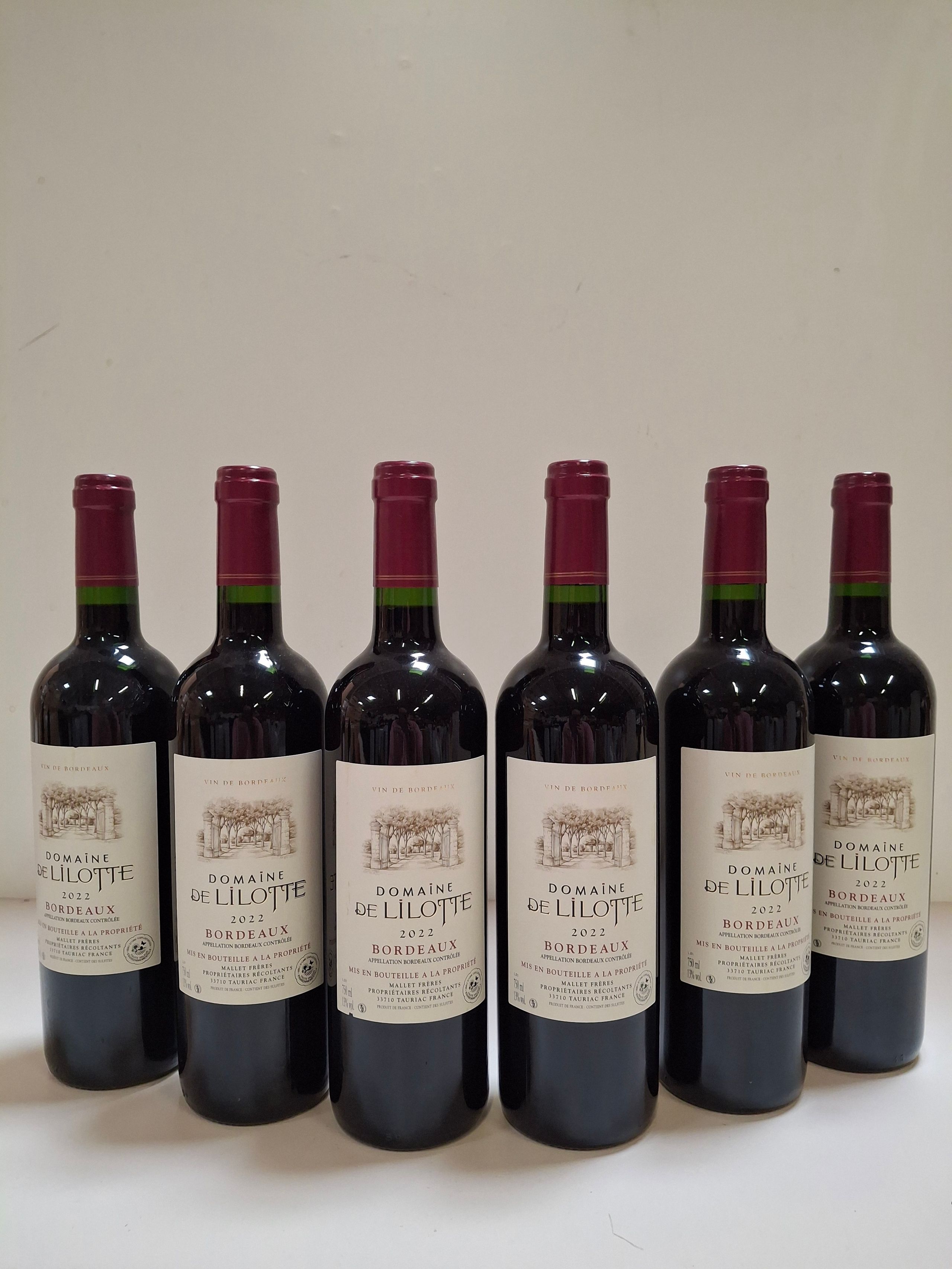 Lot de 7 Bouteilles Château Petit Bois 2017 Cuvée Traditionnelle, Vin de Bordeaux - Lazuli