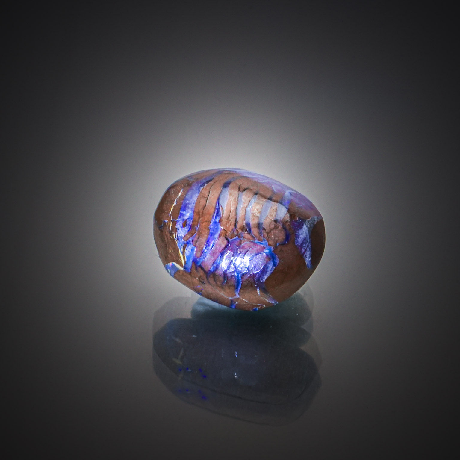 Opale Boulder ovale cabochon sur papier. - Lazuli