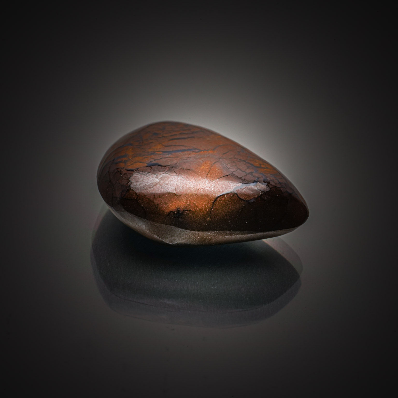 Héliolite ovale cabochon sur papier. - Lazuli