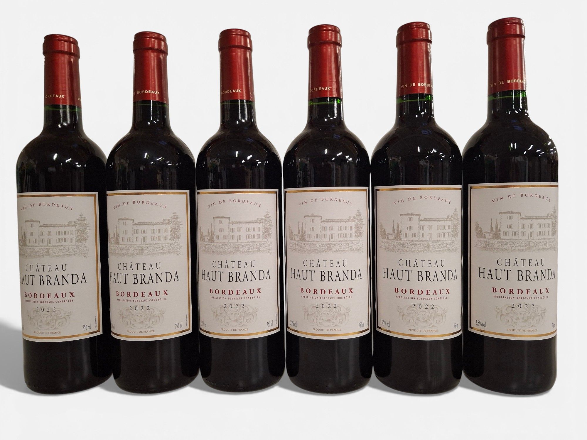 Lot de 9 bouteilles Syrah du Chili 2018 Aves Del Sur Grand Réserve note 93 % Cru de la Vallée Del Lancomilla - Lazuli