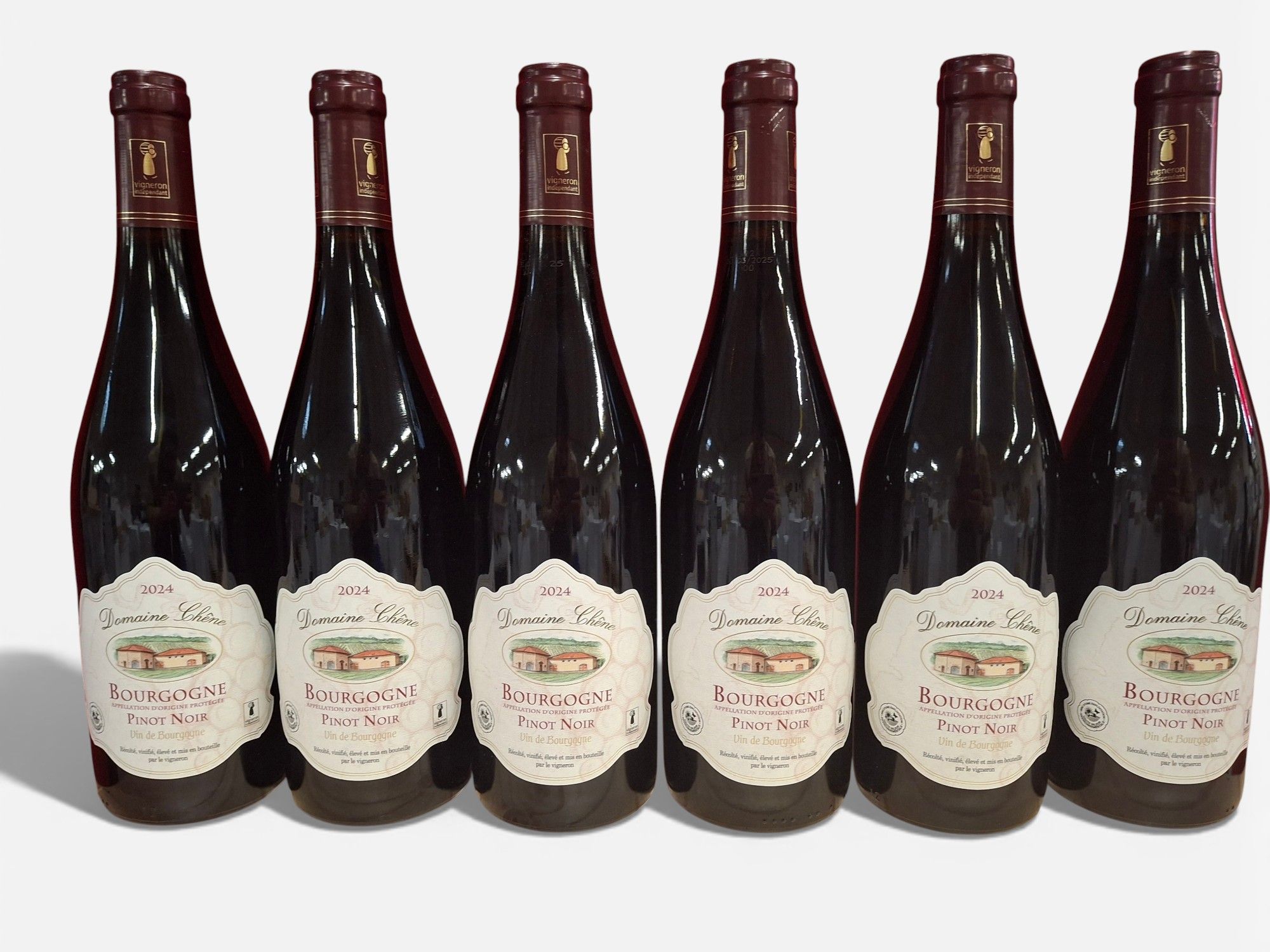 Lot de 5 bouteilles Château Labegorce Margaux 1981 - Lazuli