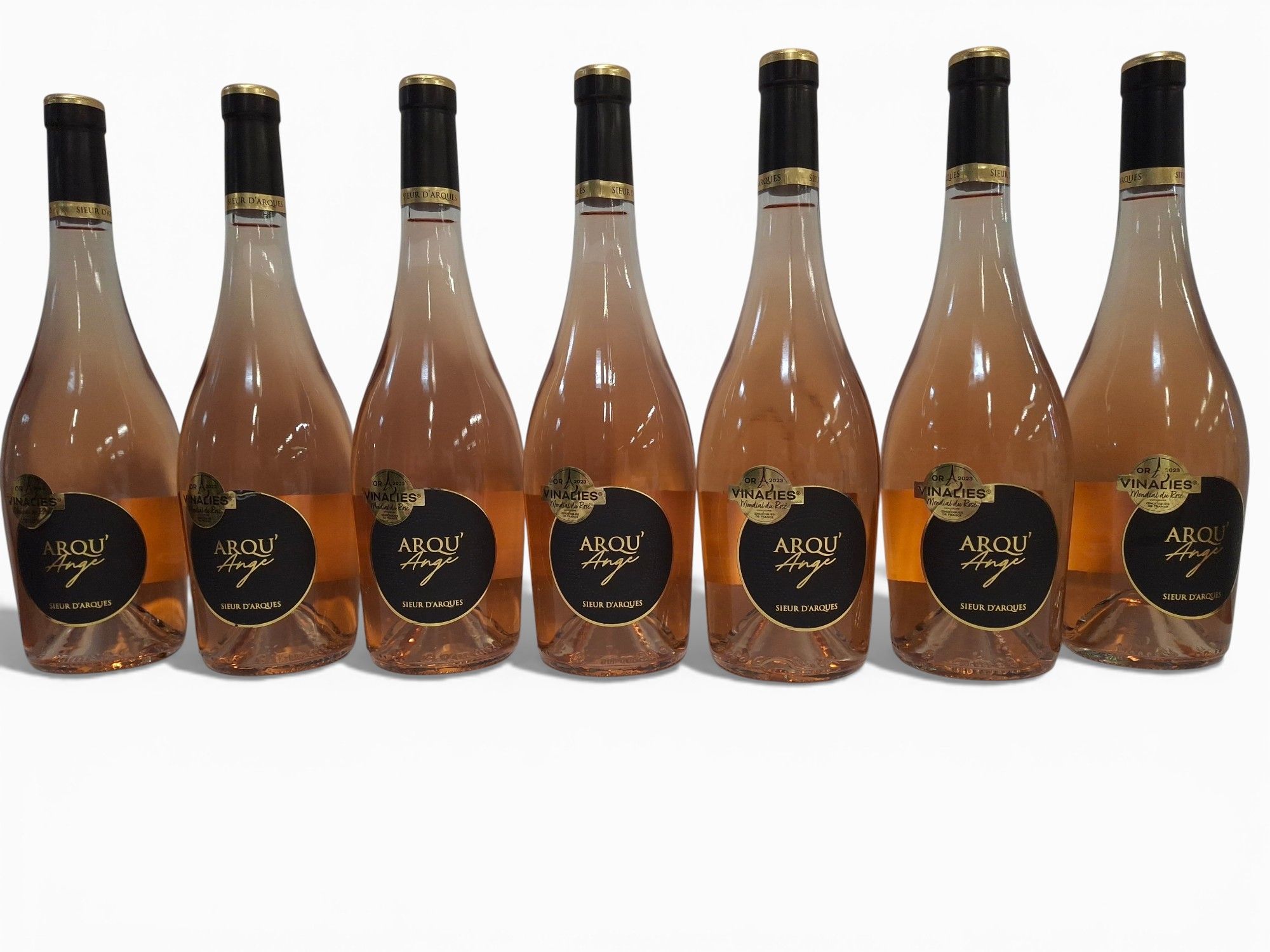 Lot de 9 bouteilles Syrah du Chili 2018 Aves Del Sur Grand Réserve note 93 % Cru de la Vallée Del Lancomilla - Lazuli
