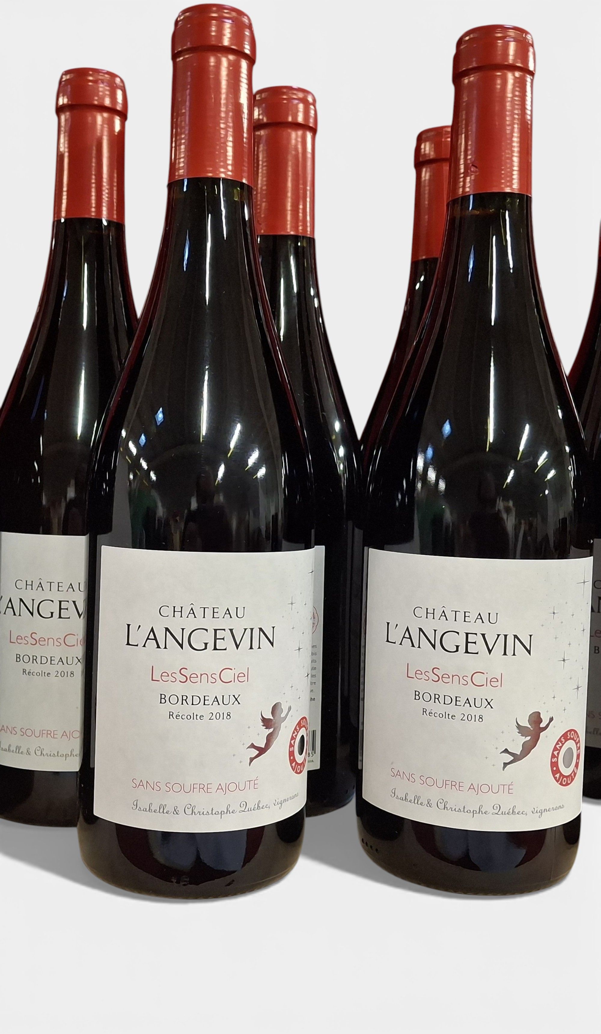 Lot de 9 bouteilles Syrah du Chili 2018 Aves Del Sur Grand Réserve note 93 % Cru de la Vallée Del Lancomilla - Lazuli