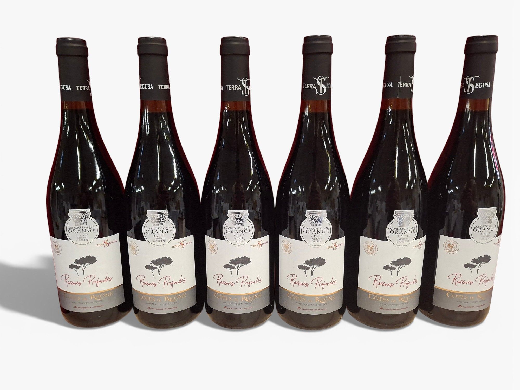 Lot de 9 bouteilles Syrah du Chili 2018 Aves Del Sur Grand Réserve note 93 % Cru de la Vallée Del Lancomilla - Lazuli