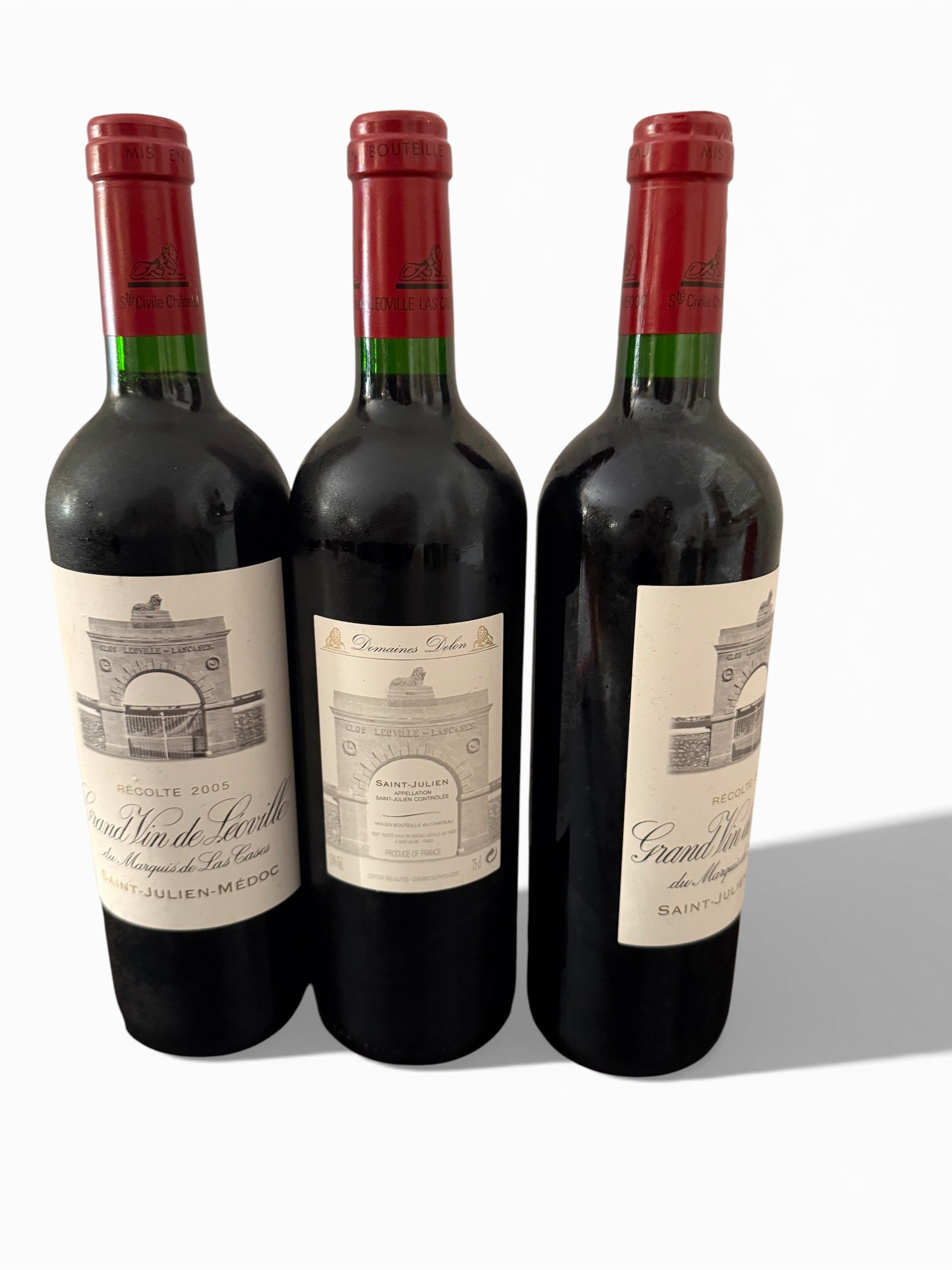 Lot de 9 bouteilles Syrah du Chili 2018 Aves Del Sur Grand Réserve note 93 % Cru de la Vallée Del Lancomilla - Lazuli