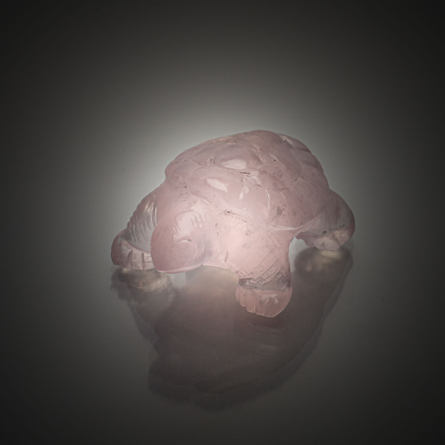 Quartz rose styslisant une tortue. - Lazuli