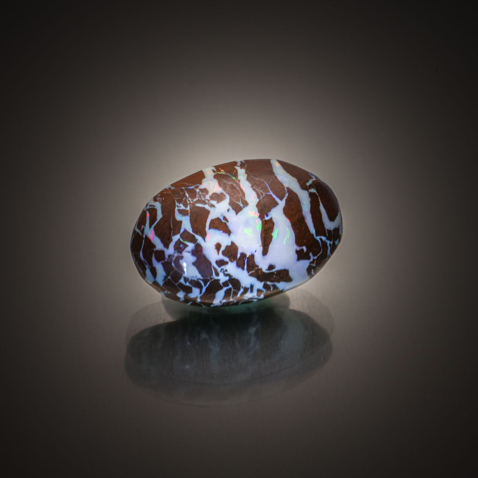 Opale Boulder ovale cabochon sur papier. - Lazuli