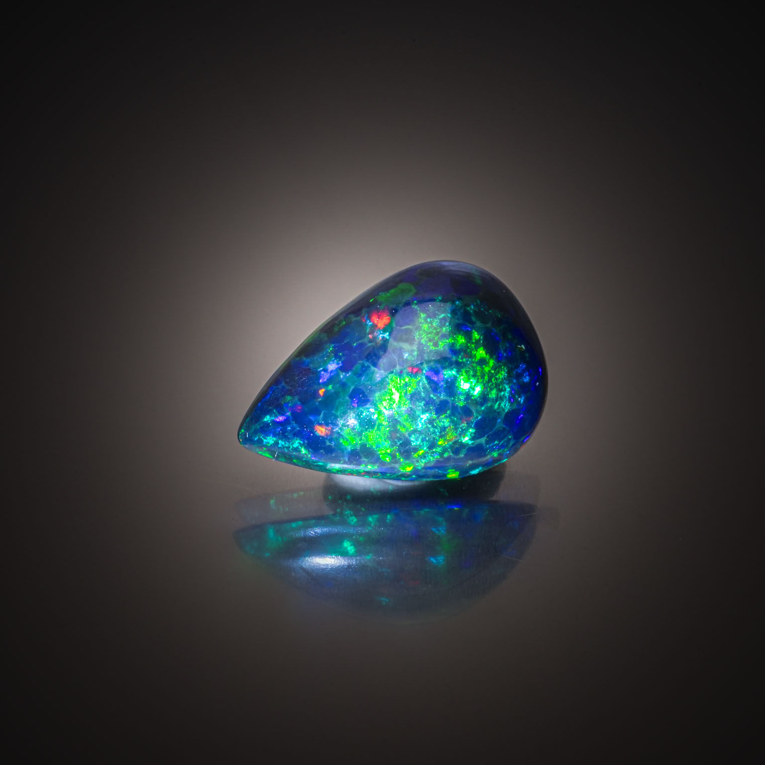 Opale noire poire cabochon sur papier. - Lazuli