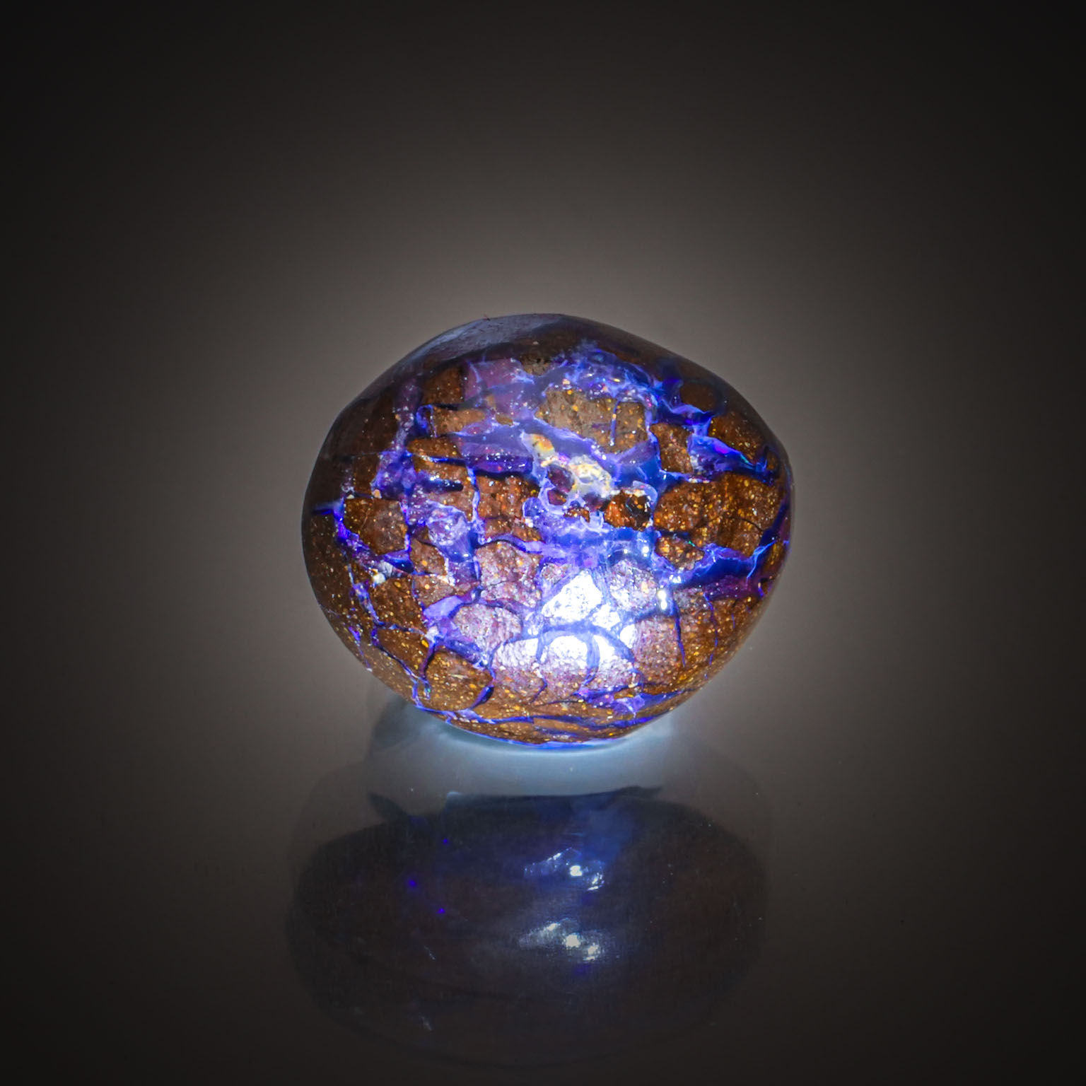 Opale Boulder cabochon sur papier. - Lazuli
