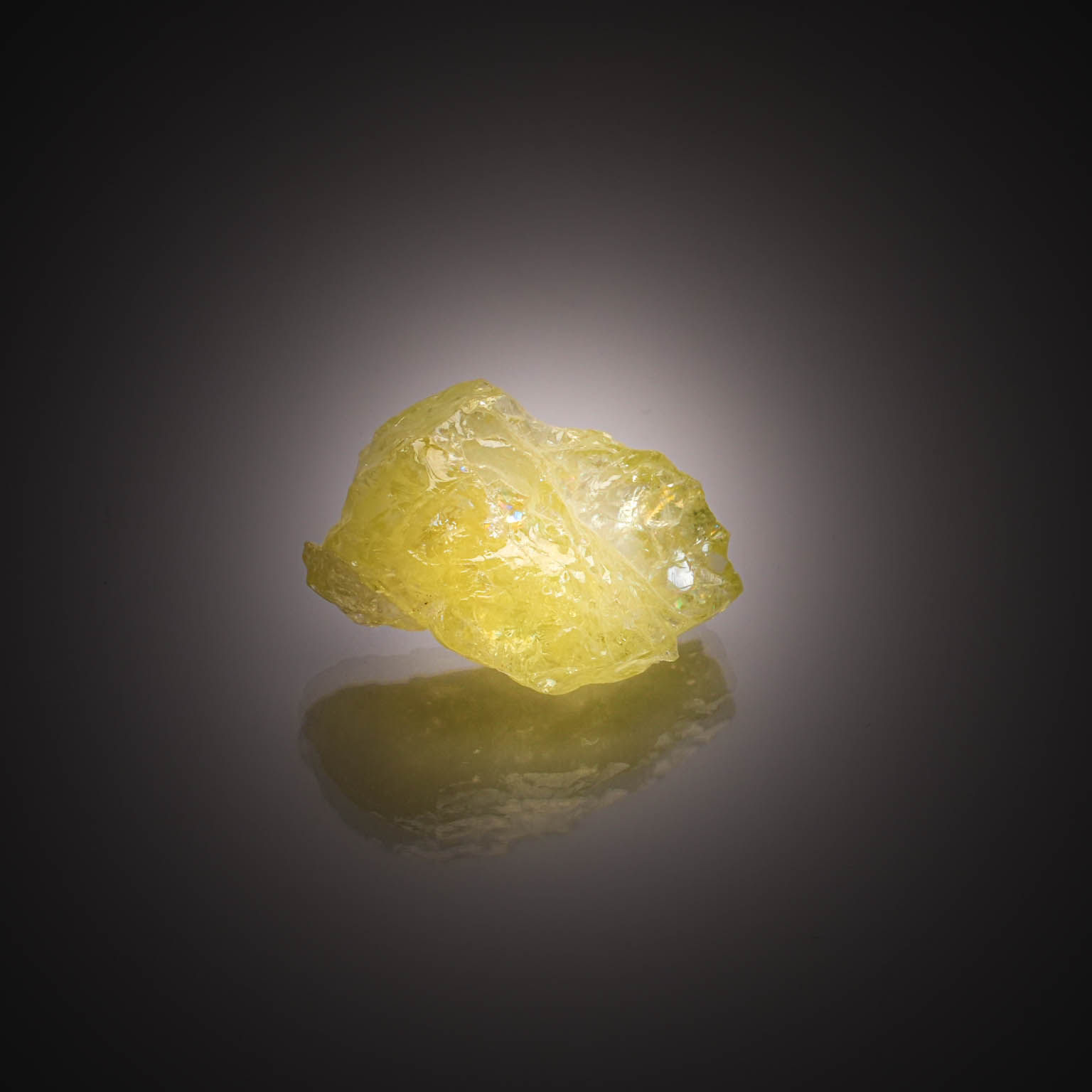 Lot de trois diamants ronds sur papier. - Lazuli
