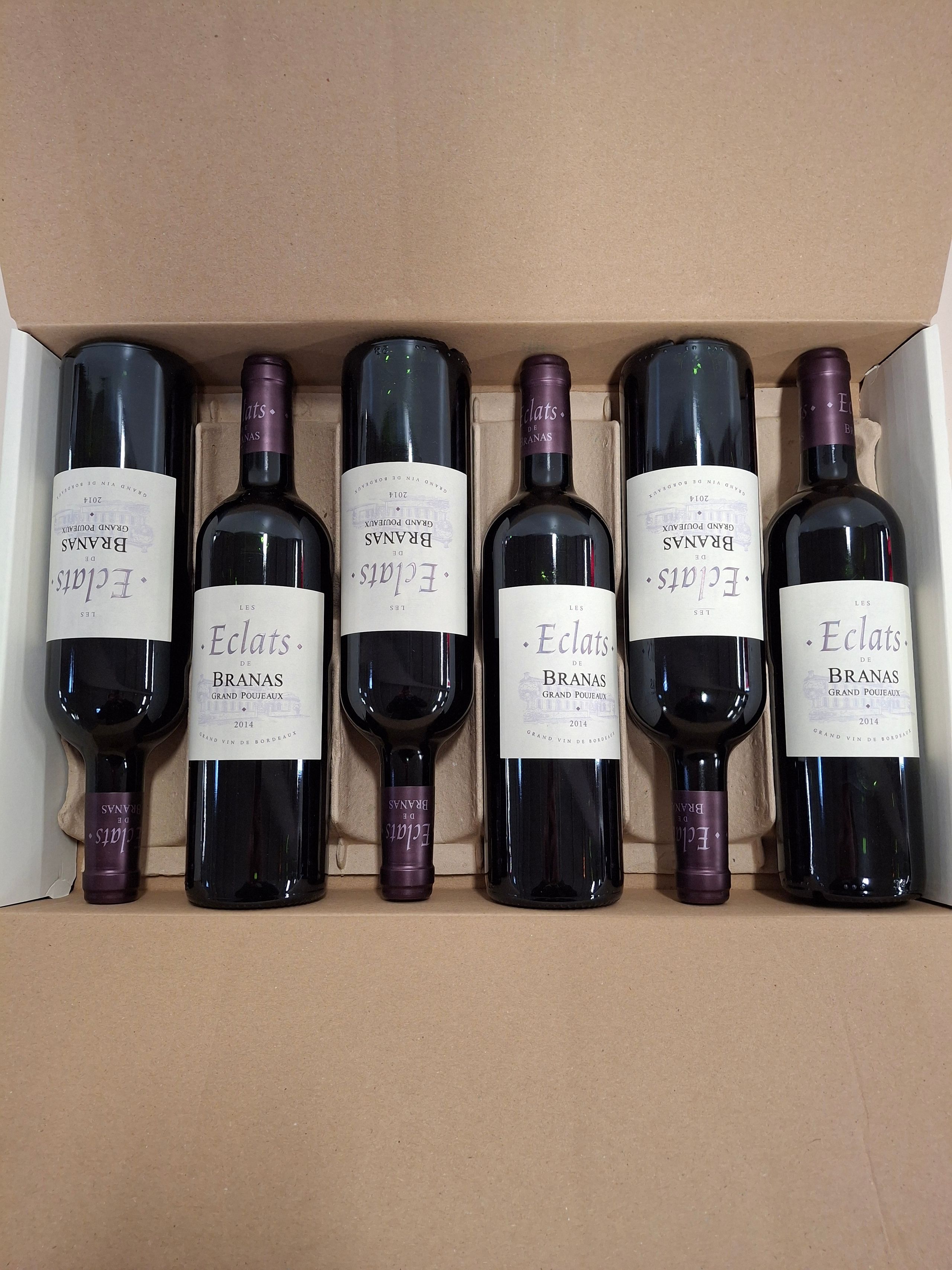 6 Bouteilles Champagne Naya de Rivière Brut Tradition champagne issu de 3 cépages champenois, valeur sûr de la gamme état parfait - Lazuli