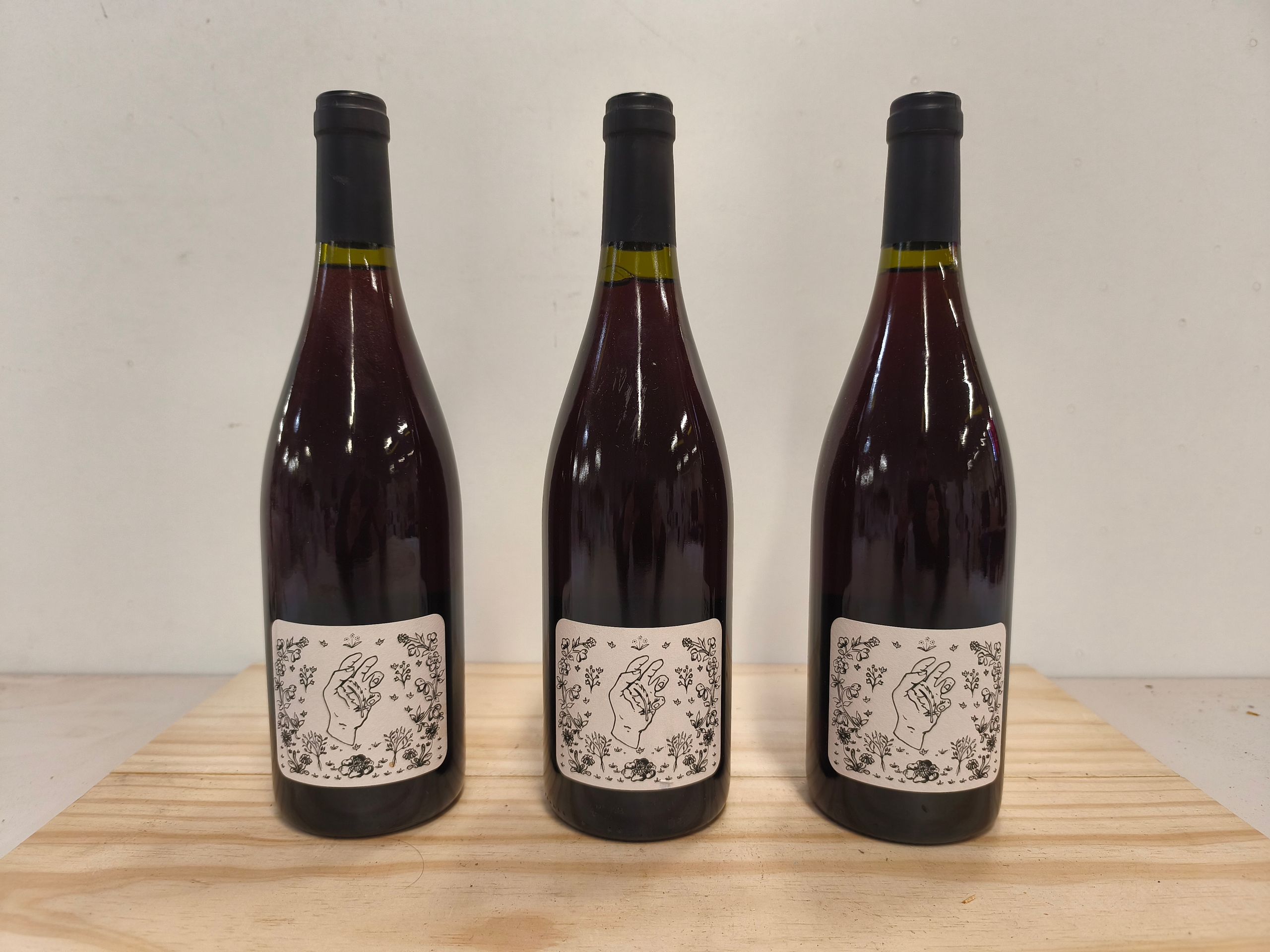 3  Bouteilles Grand Vin rouge de Bourgogne Plume 2021 Cuvée Origine Assemblage Pinot Noir, Trousseau et Ploussard, état parfait - Lazuli