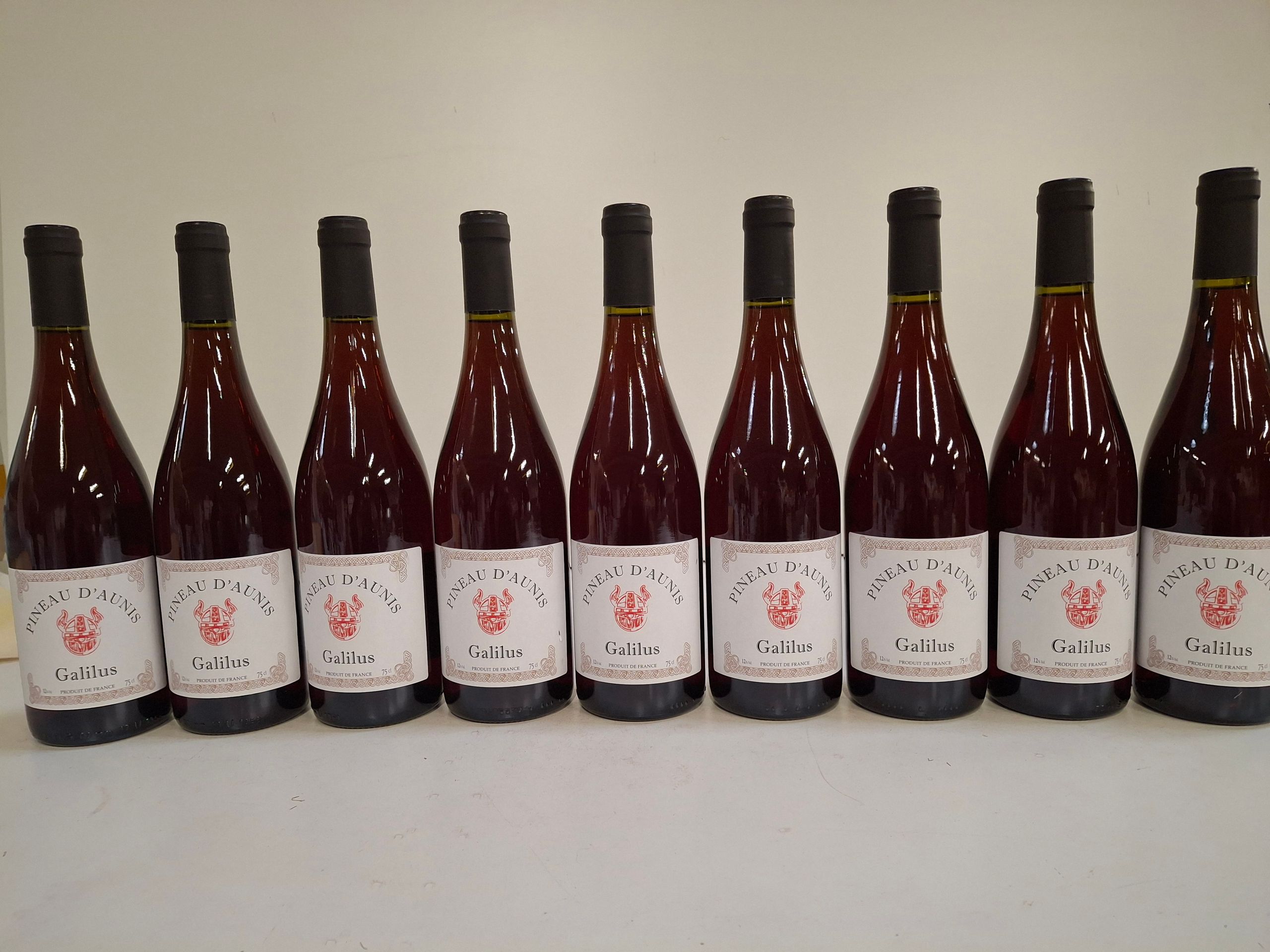 9 Bouteilles Pineau d’Aunis 2023 Galilus Riche en Soleil - Lazuli