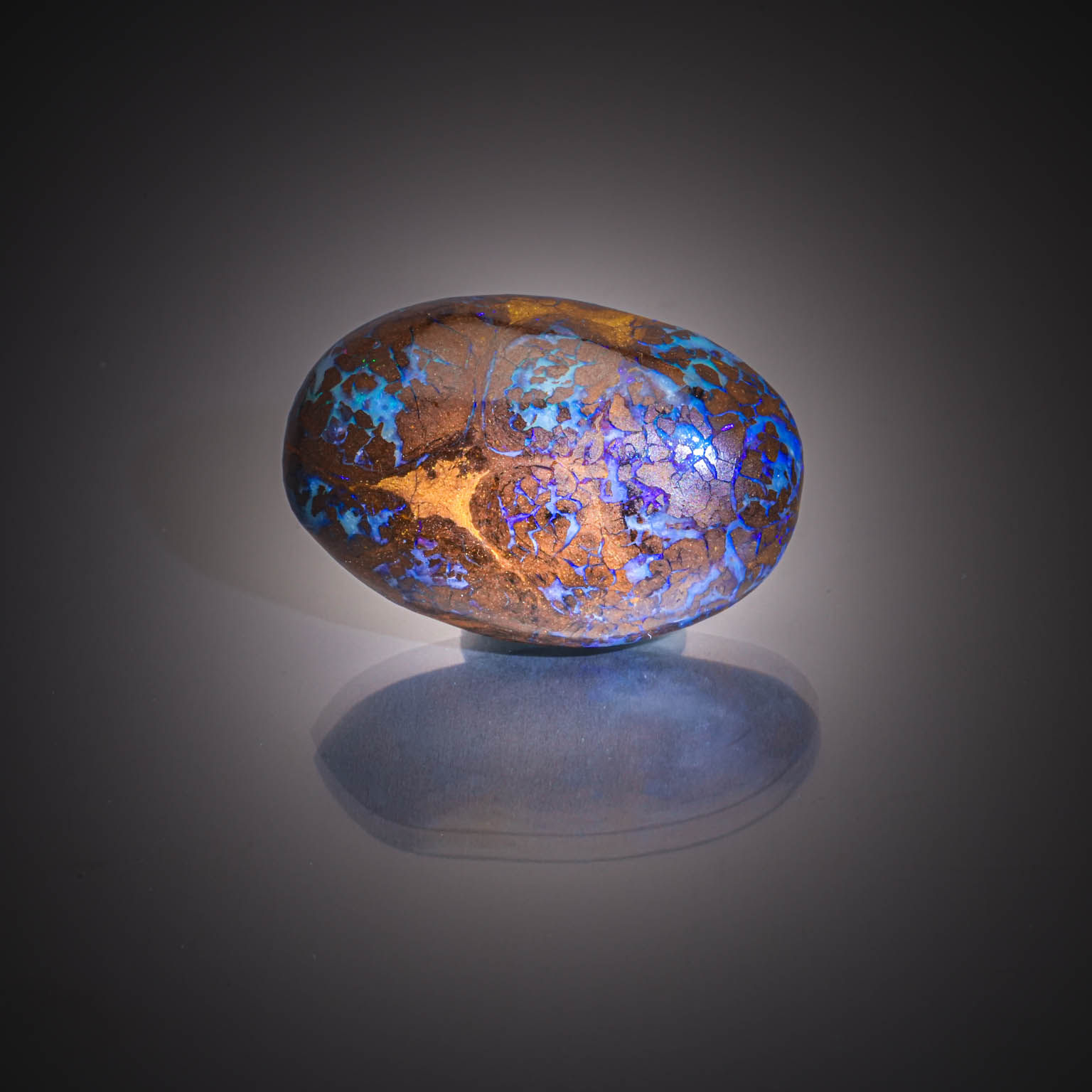 Opale boulder ovale cabochon sur papier. - Lazuli