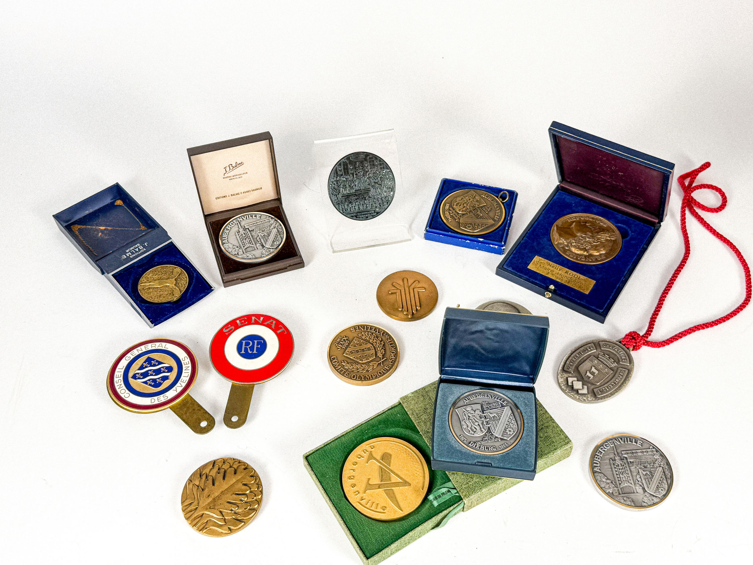Lot de treize médailles en bronze dont certaines en coffret et deux cocardes du Sénat et du Conseil Générales des Yvelines. - Lazuli