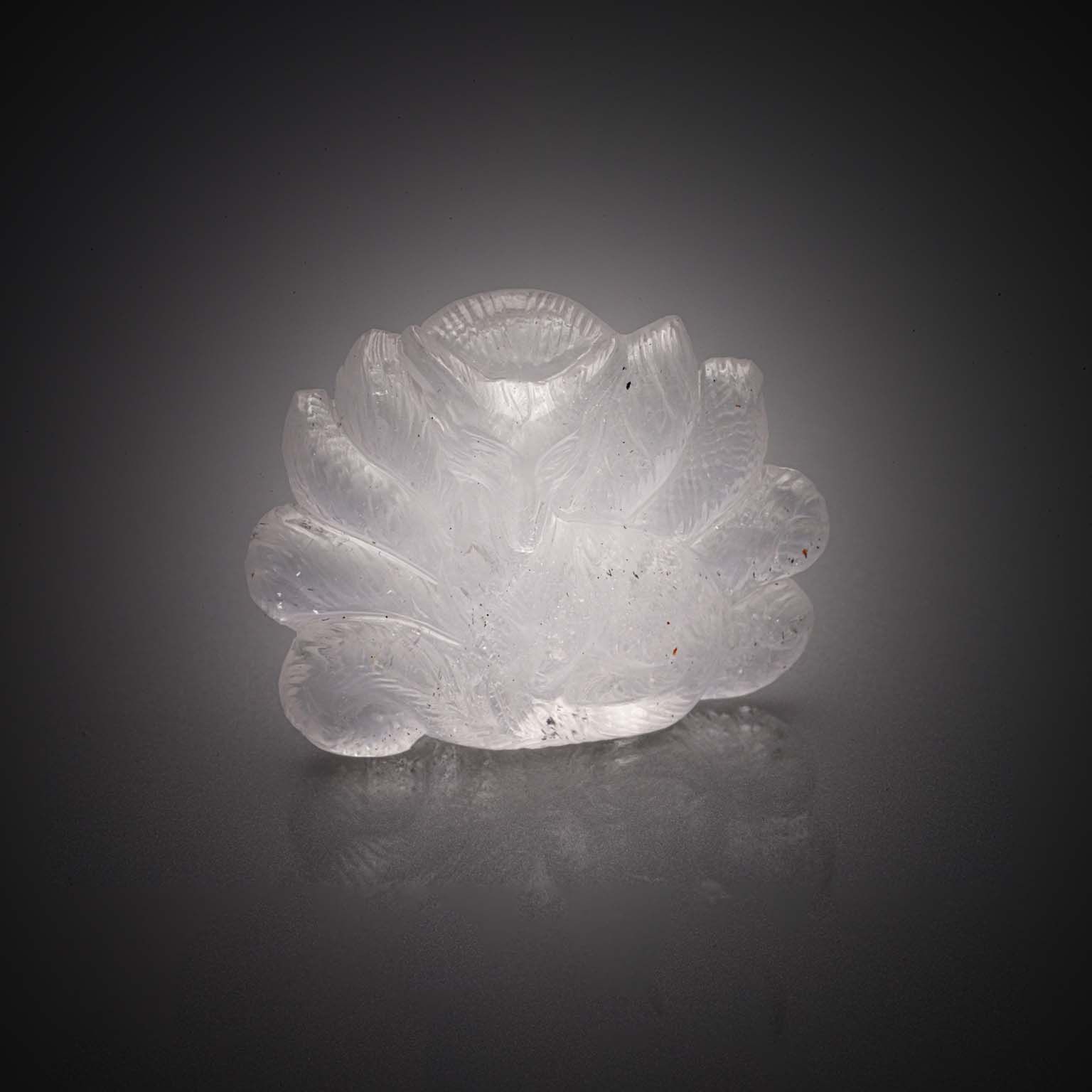 Cristal de roche stylisant une plante sur papier. - Lazuli