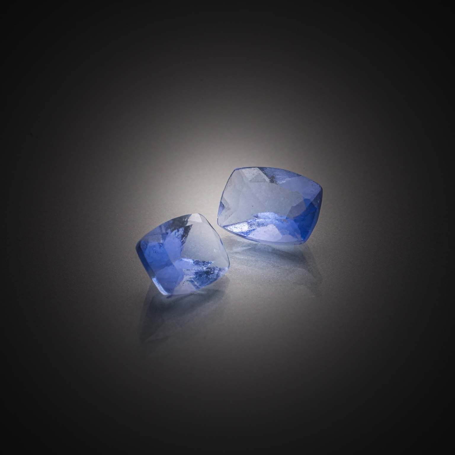 Cristal de roche stylisant une plante sur papier. - Lazuli