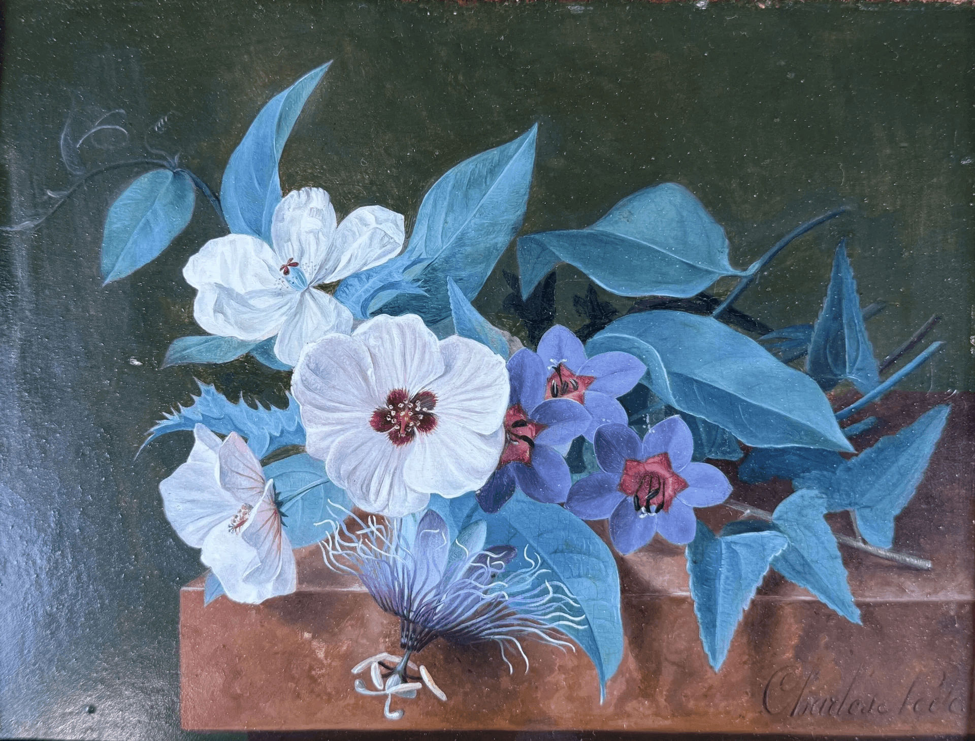 Charles NODE (1811 – 1886) - Lazuli