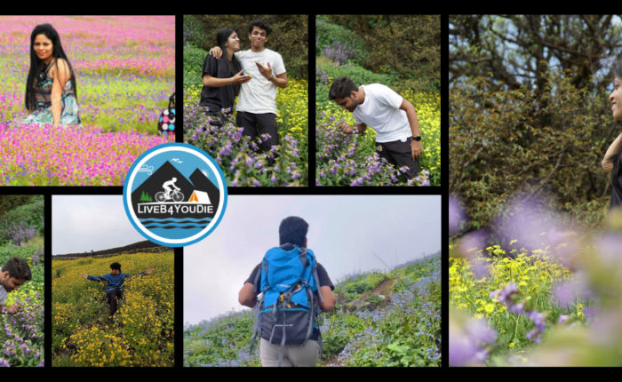 kaas plateau