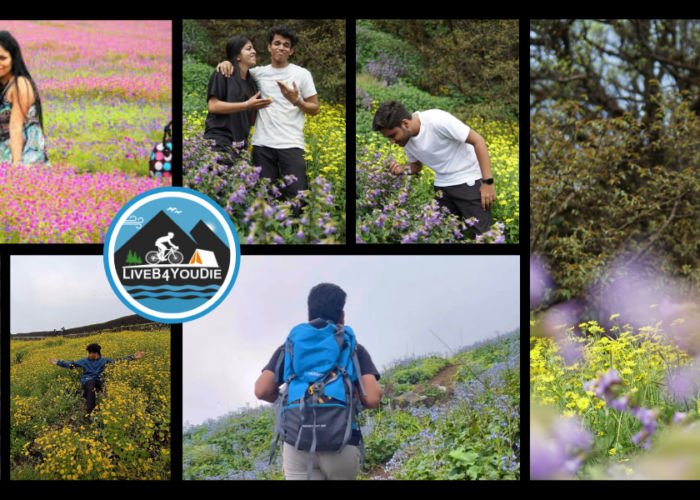 kaas plateau