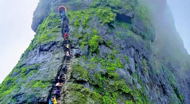 Harihar Night Trek