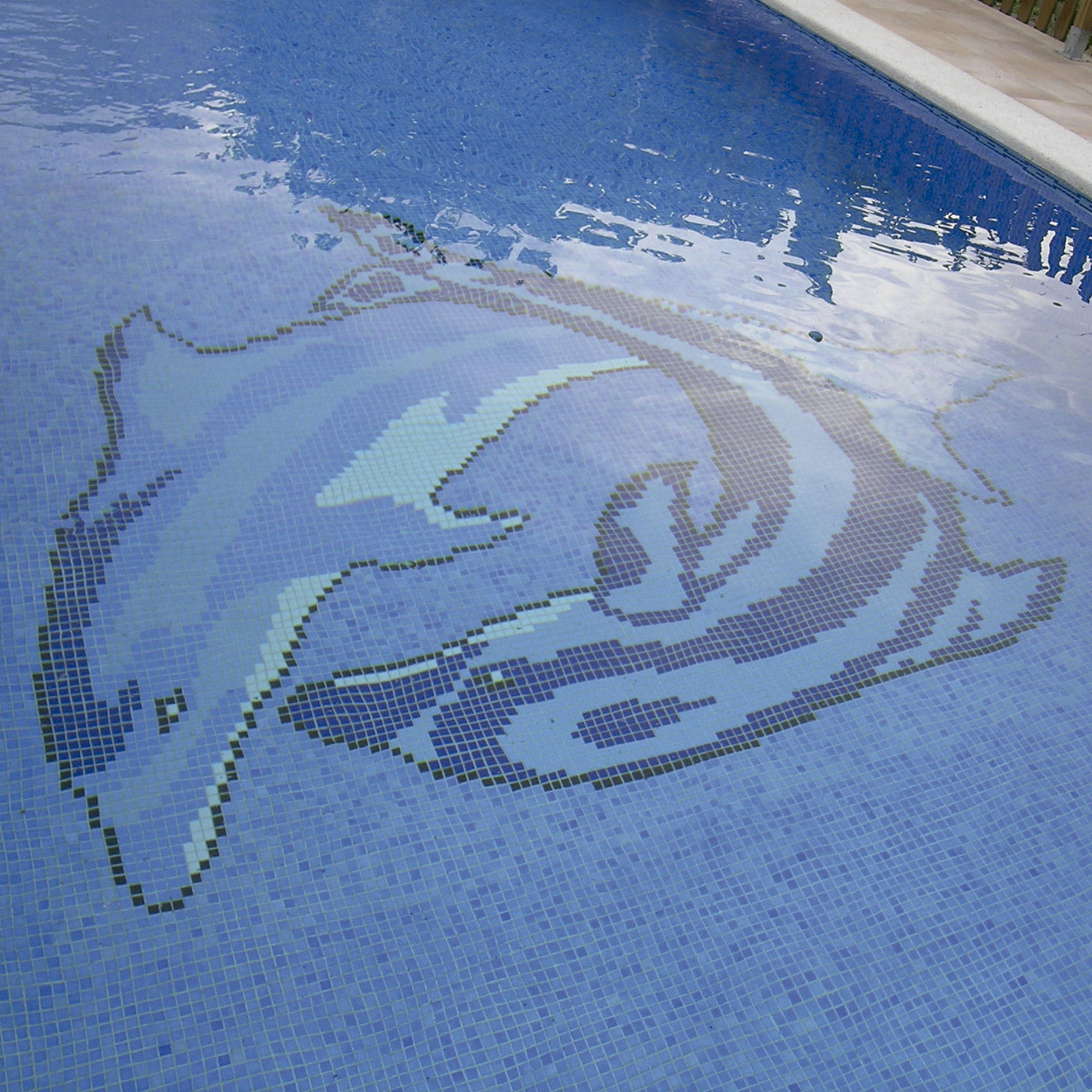 Azulejos Colección DECORACIONES Piscinas