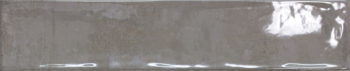 CLIO L53 GRIS CENIZA 10,7x53 (Caja de 0.85 m2)