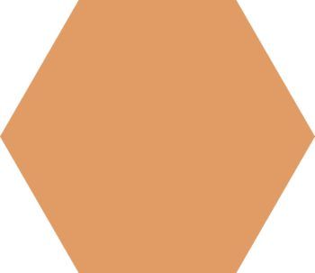 HEXAGONAL BASIC ANTELOPE 25x22 (Caja de 1,04 m2)