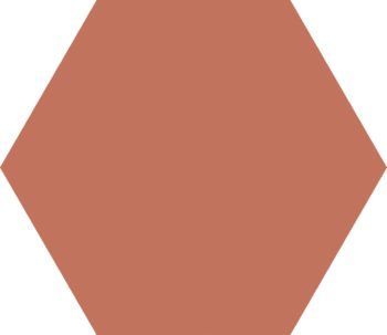 HEXAGONAL BASIC RIOJA 25x22 (Caja de 1,04 m2)