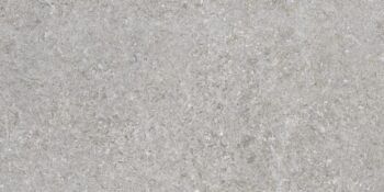 GUGGENHEIM GREY 60x120 Rectificado (Caja de 1,44 m2)