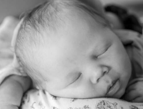 Baby Oren Willows